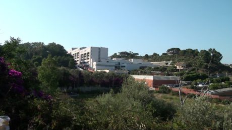 Messina University, founded in 1548, is one of the most ancient Italian universities.